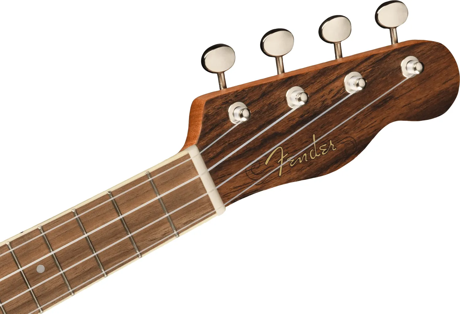 Fender Zuma Exotic Concert ukulele concerto bocote noce