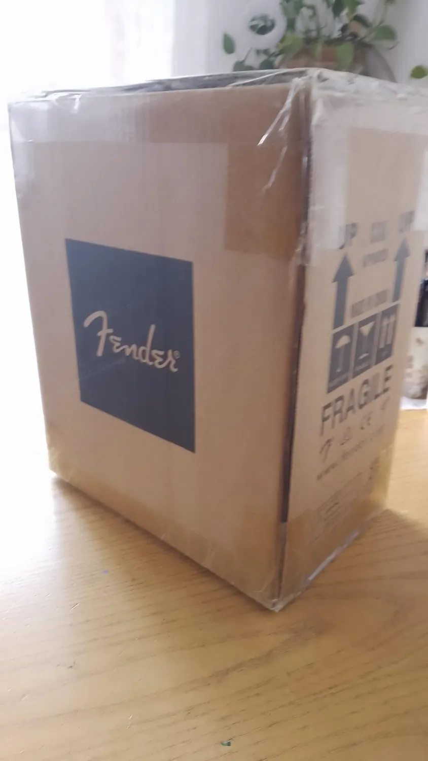 Fender Frontman 10G ampli chitarra 10W con cuffie nero