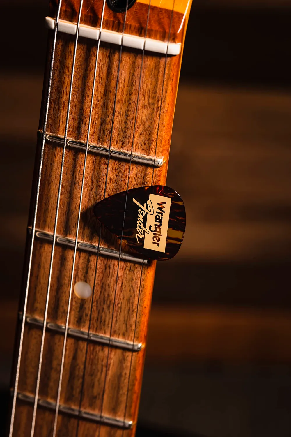 Fender Wrangler 351 plettri chitarra tartarugati 8 pezzi