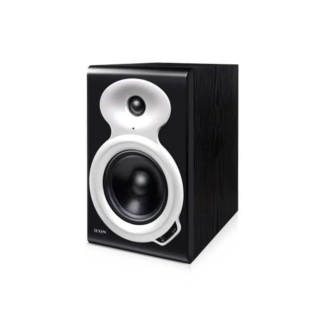 iCON Pro Audio PX-C5A monitor da studio attivo singolo